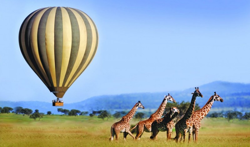 Montgolfière en Afrique du Sud