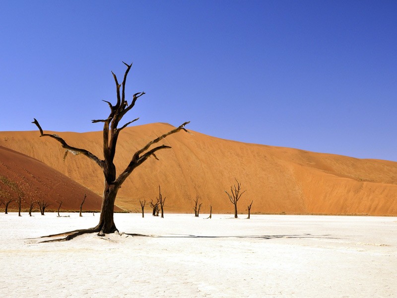 Désert de Namib